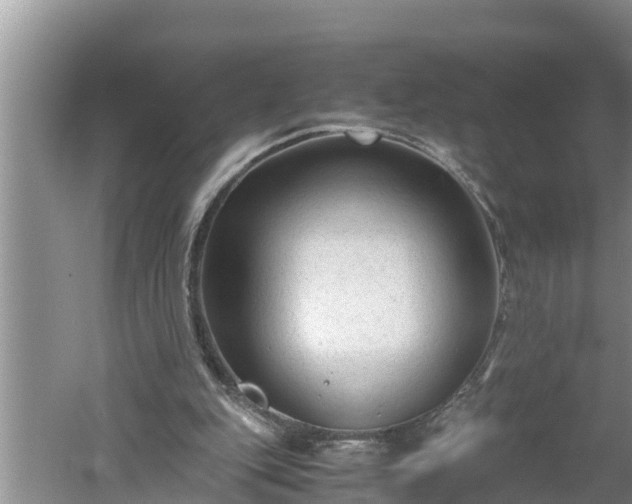 X0000060550151200511101546