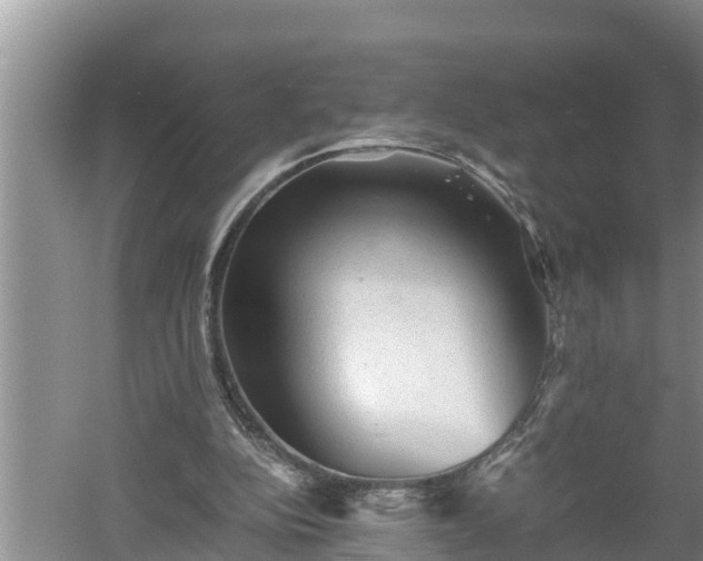 X0000060550152200511101546