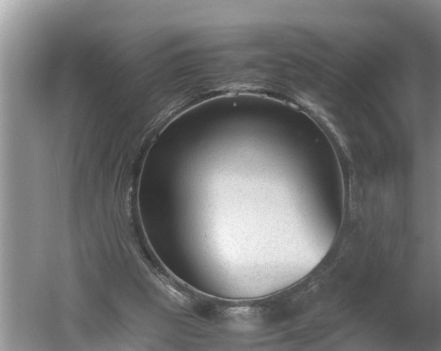 X0000060550153200511101546