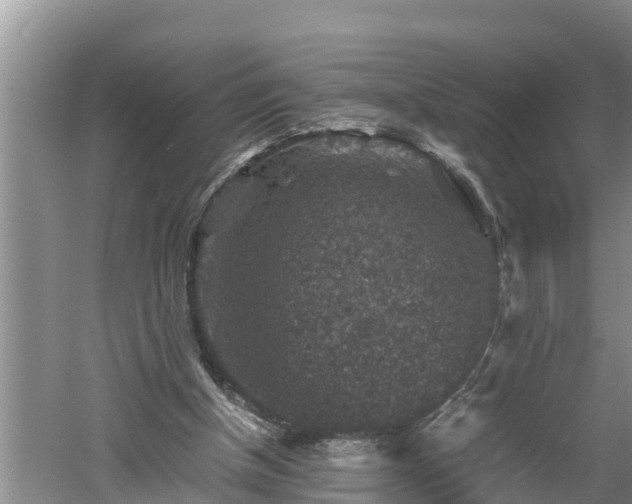 X0000060550154200511101546