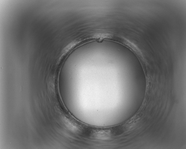 X0000060550155200511101546