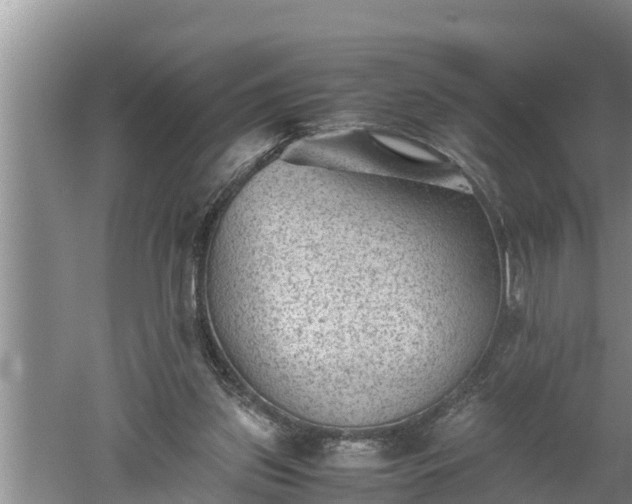 X0000060550157200511101546