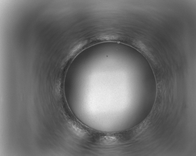 X0000060550159200511101546