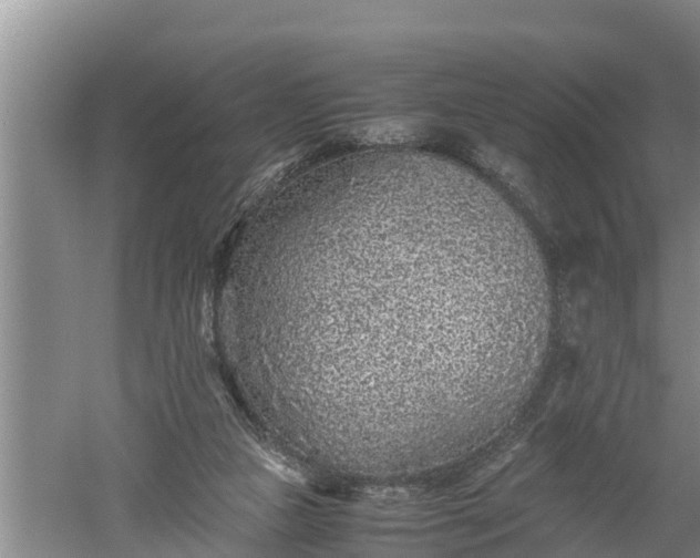 X0000060550161200511101546