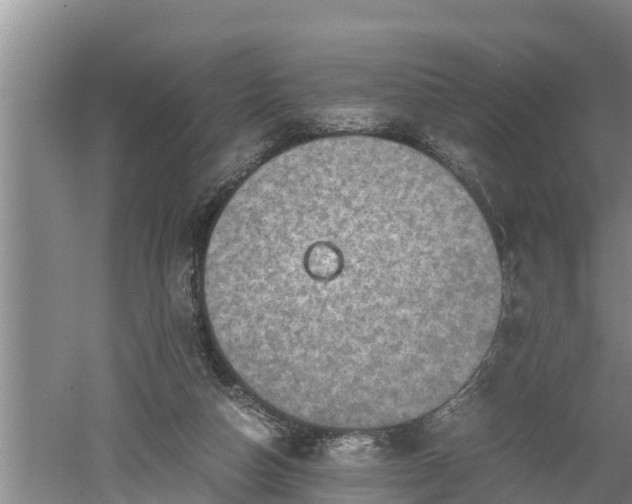 X0000060550162200511101546