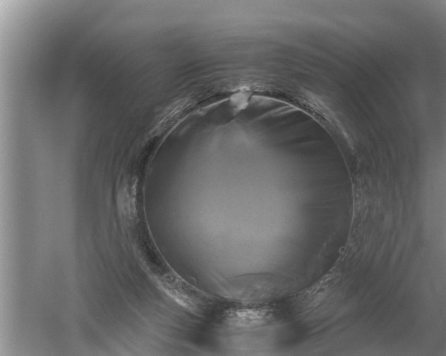 X0000060550163200511101546