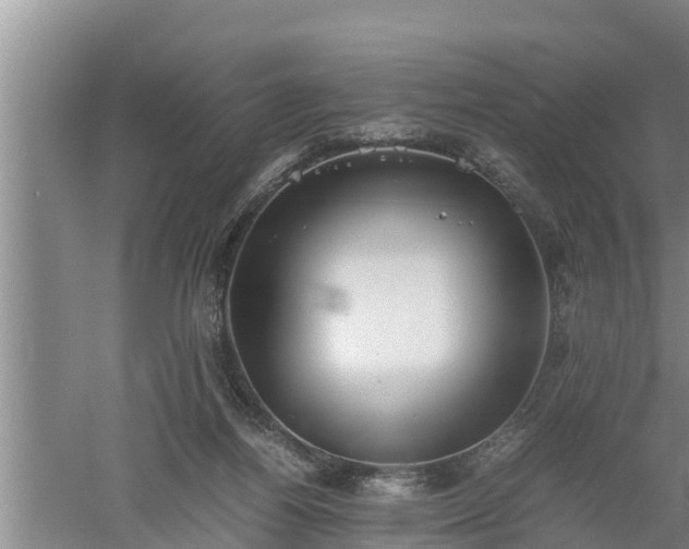 X0000060550164200511101546