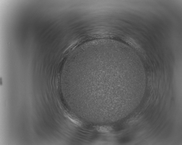 X0000060550165200511101546