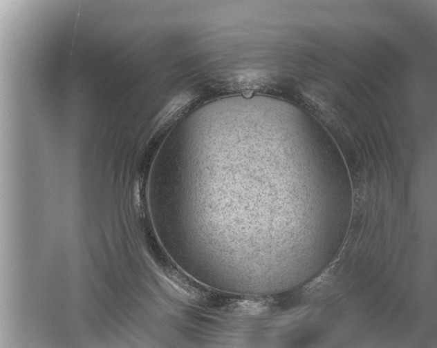 X0000060550166200511101546