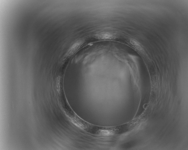 X0000060550167200511101546