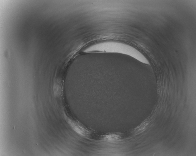 X0000060550168200511101546