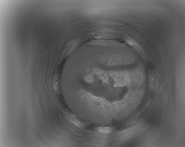 X0000060550169200511101546