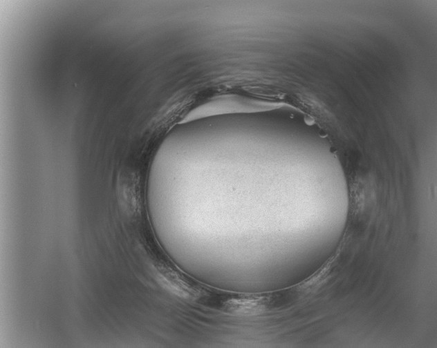 X0000060550170200511101546