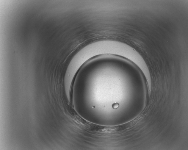 X0000060550172200511101547