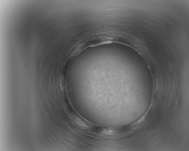 X0000060550174200511101547