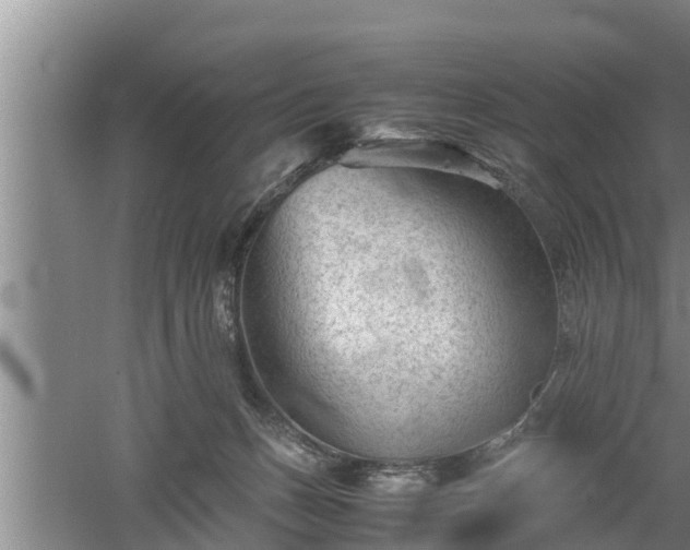 X0000060550175200511101547