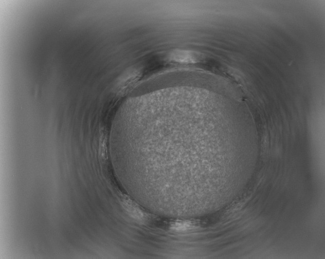 X0000060550177200511101547