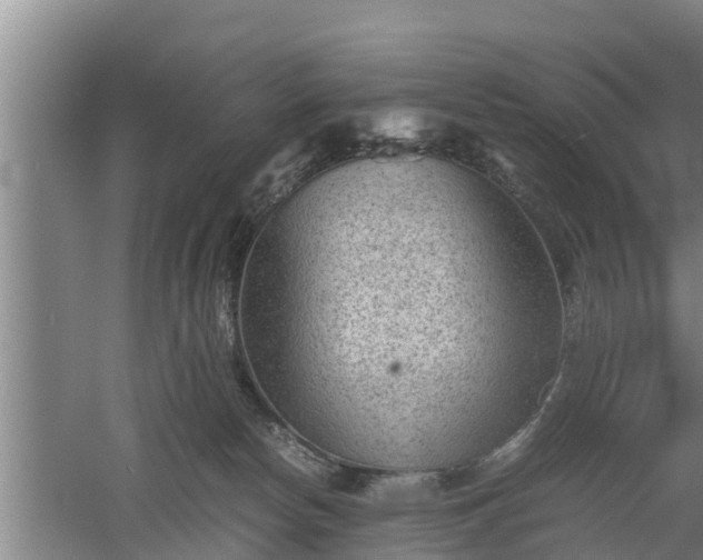 X0000060550178200511101547