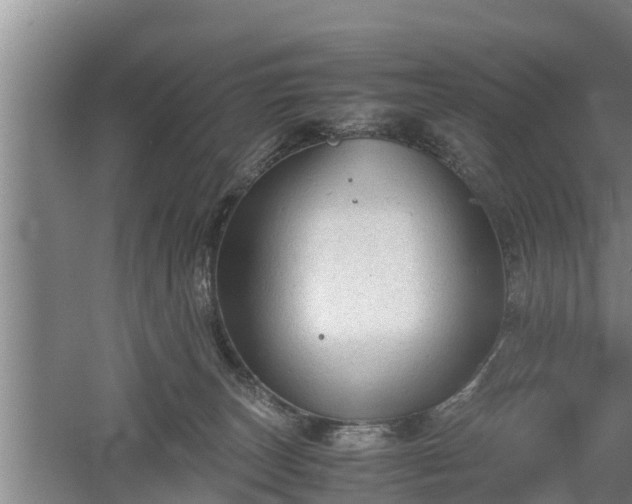 X0000060550179200511101547