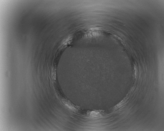 X0000060550180200511101547