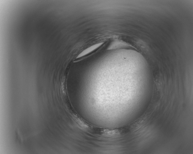 X0000060550185200511101547