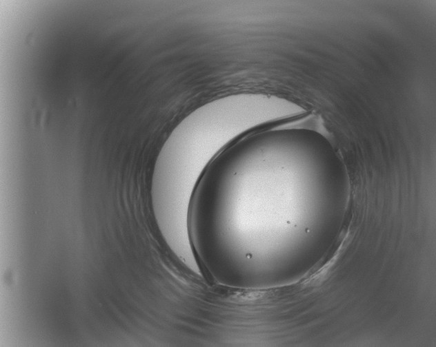 X0000060550186200511101547