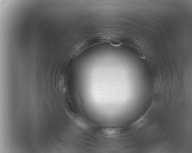 X0000060550187200511101547