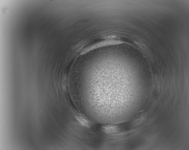 X0000060550189200511101547