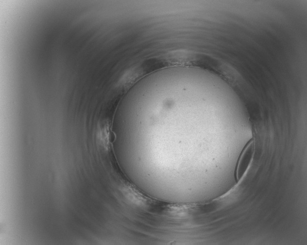 X0000060550190200511101547