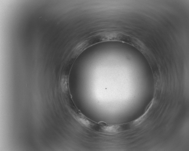 X0000060550191200511101547