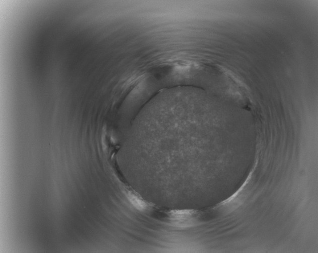 X0000060550192200511101547