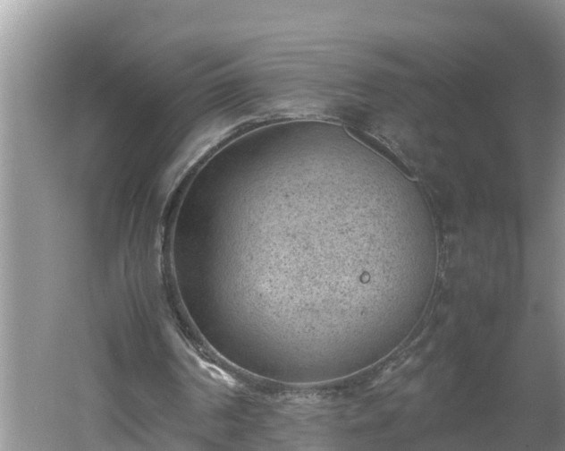 X0000060550194200511101546