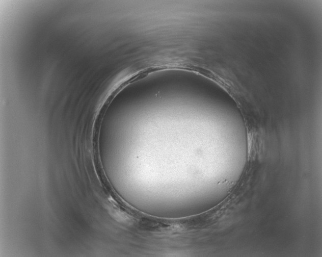 X0000060550195200511101546