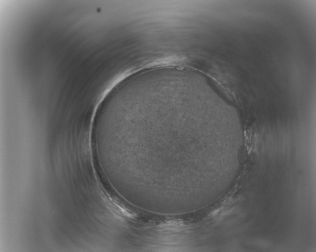 X0000060550196200511101546