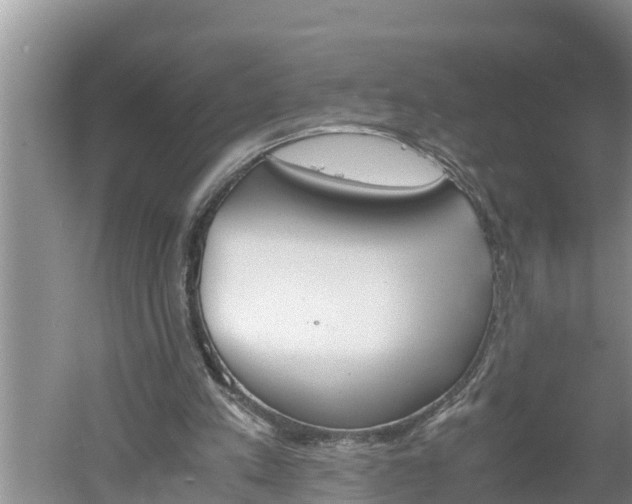 X0000060550197200511101546