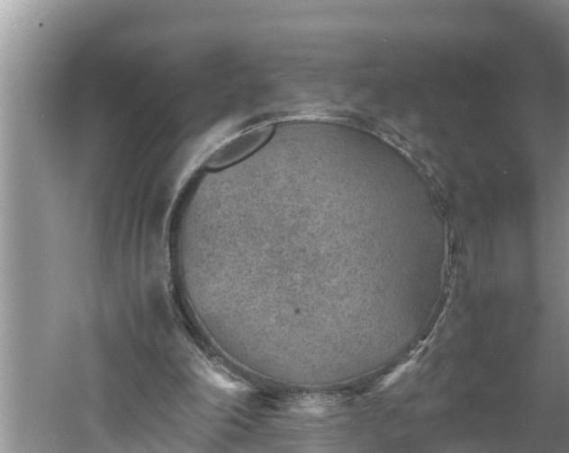 X0000060550198200511101546