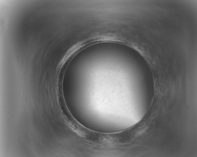 X0000060550199200511101546