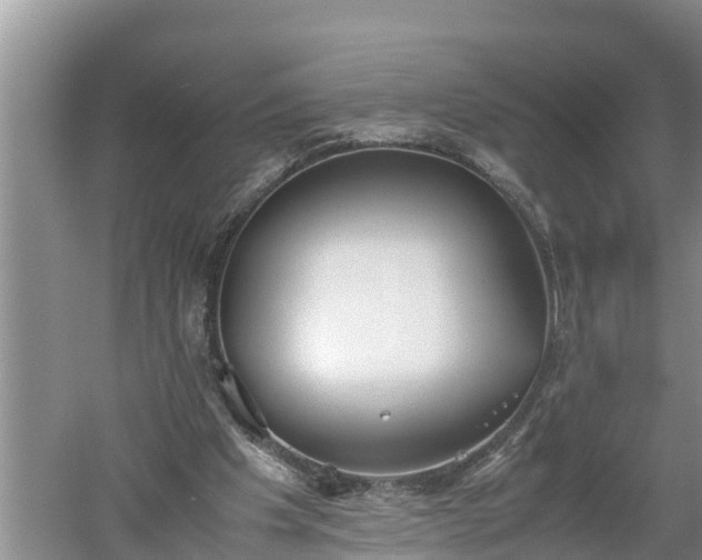 X0000060550201200511101546