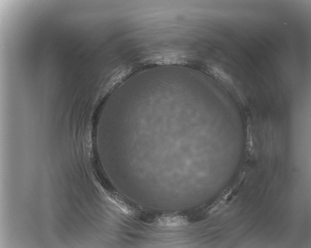 X0000060550202200511101546