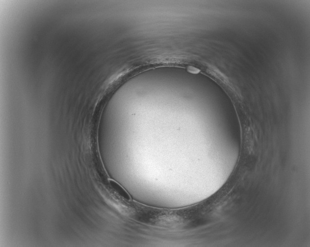 X0000060550203200511101546