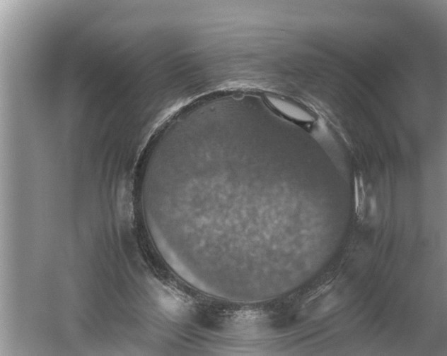 X0000060550204200511101546