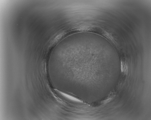 X0000060550205200511101546