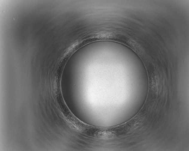 X0000060550208200511101546