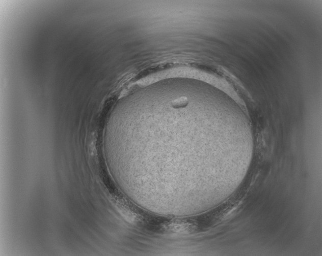 X0000060550209200511101546