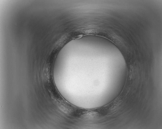 X0000060550210200511101546