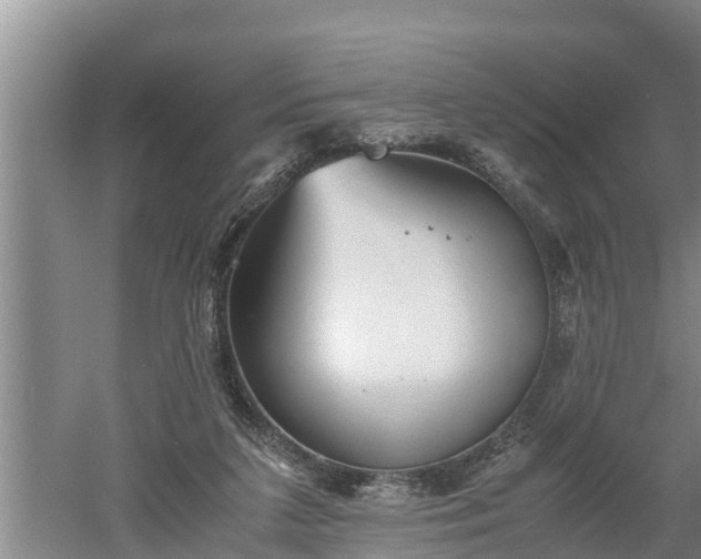 X0000060550211200511101546