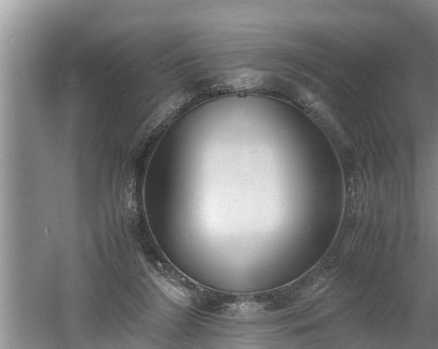 X0000060550212200511101546