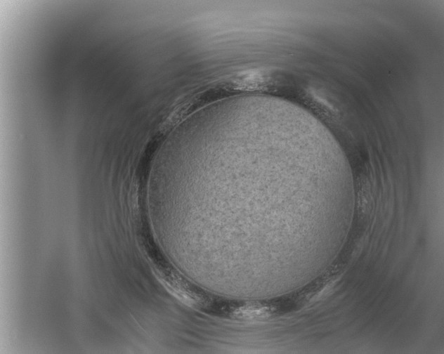 X0000060550213200511101546