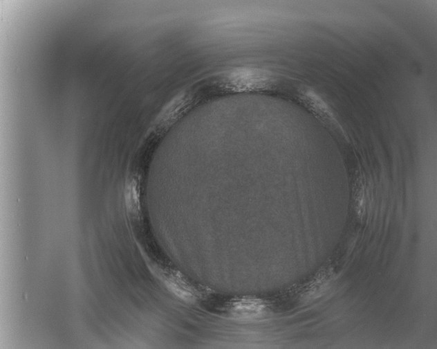 X0000060550214200511101546