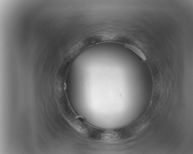 X0000060550215200511101546